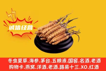 白银市靖远回收冬虫夏草